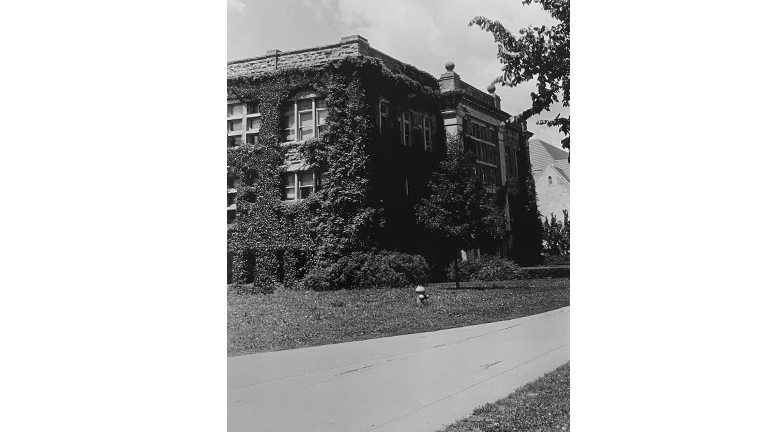 Vines covering Haworth's facade